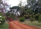 Laying the new road